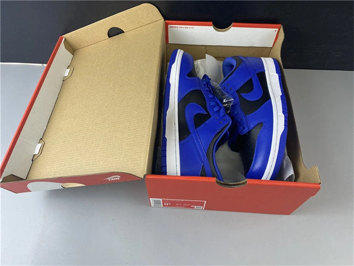 Nike SB Dunk Low CU1726- AllSeason 4891